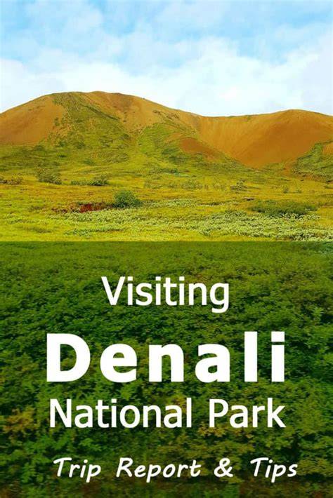Denali trip report.  Provided by Touchpoints Denali Trip Report from 6/2023 ...