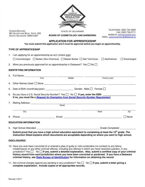 Denel Aviation Apprenticeship Application Forms