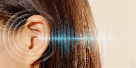 Dengemizi sağlayan duyu organımız hangisidir