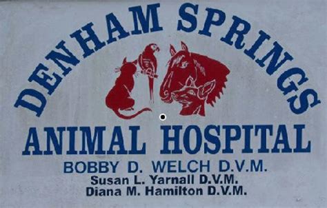 Denham springs animal hospital. Who is Denham Springs Animal Hospital. Denham Springs Animal Hospital Inc is a company that operates in the Veterinary industry. It employs 21-50 people and has $1M-$5M of revenue. The c ompany is headquartered in Denham Springs, Louisiana. Read more. Denham Springs Animal Hospital's Social Media 