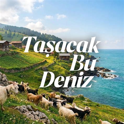 Deniz Erbuga Profiles Facebook.