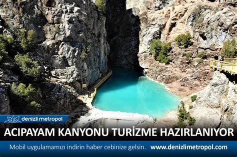 Denizli Acipayam Pinarbasi Mahallesi terapi halı yıkama
