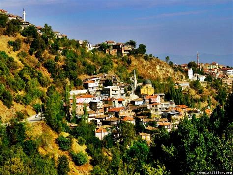Denizli Babadag terapi halı yıkama