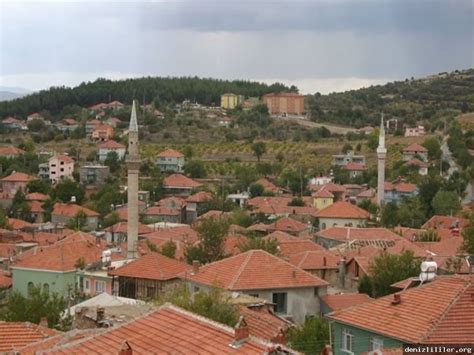 Denizli Bekilli terapi halı yıkama