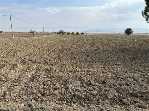 Denizli Cal Denizler Mahallesi terapi halı yıkama