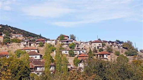 Denizli Cal Gelinoren Mahallesi terapi halı yıkama