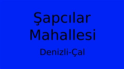 Denizli Cal Sapcilar Mahallesi terapi halı yıkama