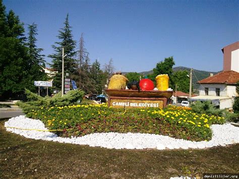 Denizli Cameli En Yakin terapi halı yıkama
