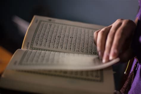Denmark seeks to legally prevent burnings of Quran or other religious scriptures