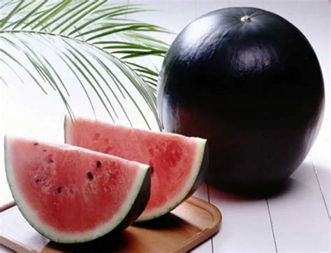 Densuke watermelon. Things To Know About Densuke watermelon. 