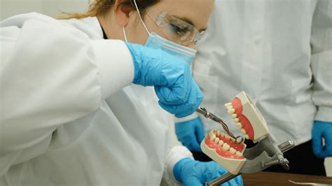 Dental Education & Training Resources Peak Performers