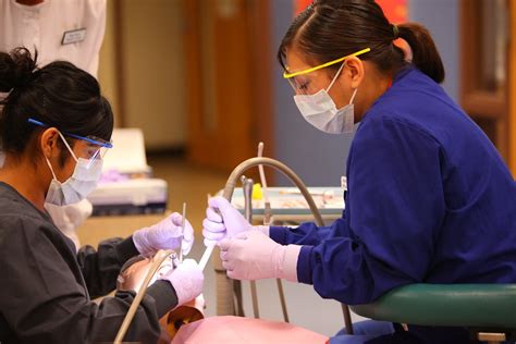 Dental Phoenix College