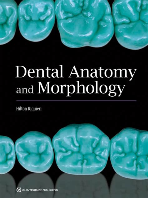 Read Dental Anatomy And Morphology By Hilton Riquieri