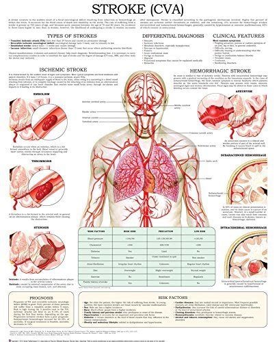 Dentistry e-chart: Quick reference guide