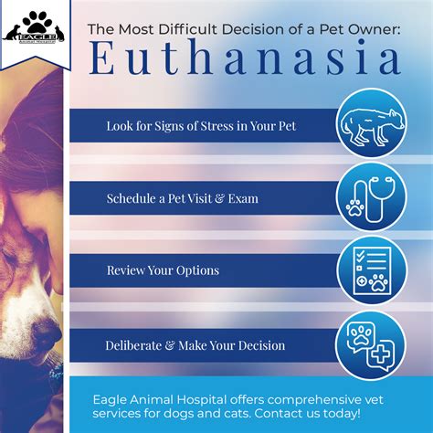 Denver Animal Shelter explains euthanasia decisions