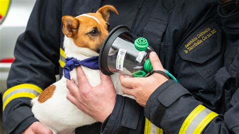 Denver Fire Department receives oxygen masks for pets
