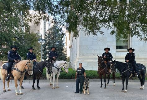 Denver Sheriff Department’s Mounted Posse suffered loss of 3 horses in 2023