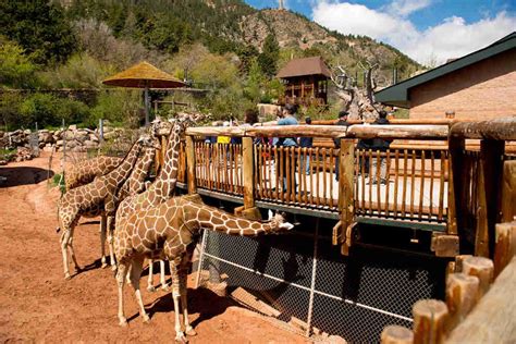 Denver Zoo, Cheyenne Mountain Zoo listed among the best in the country