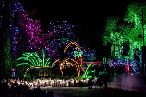 Denver Zoo Lights tickets go on sale this month: What to know