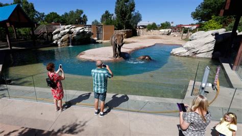Denver Zoo extends weekend hours for reduced entry fee