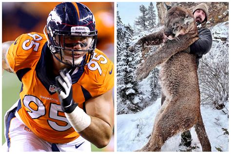 Denver broncos mountain lion. Things To Know About Denver broncos mountain lion. 