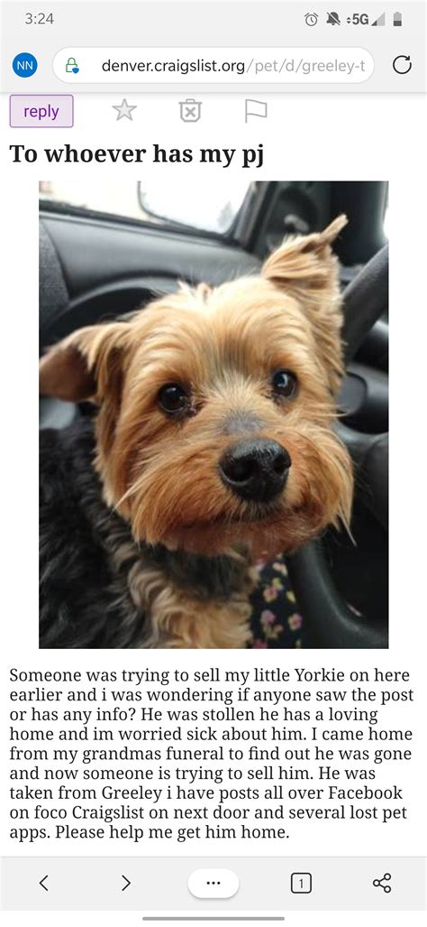 craigslist Pets "yorkie" in Denver, CO. see also. Rehom