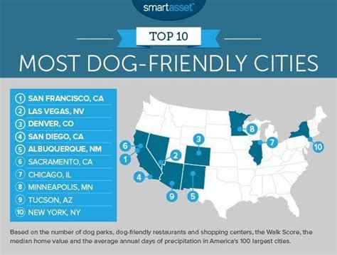 Denver one of the most pet-friendly cities in the US for renters