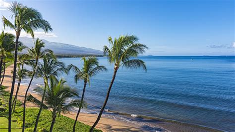 Denver to maui. Find deals from Denver to Maui (DEN) - (OGG). Star Alliance member airlines offer more than 10,000 daily flights to give you the best deal. 