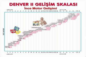 Denver-II Gelişim Testi.