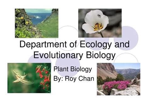 Department of ecology and evolutionary biology. 9 thg 4, 2021 ... ... ecology and evolutionary biology. At the time of writing ... Department of Evolutionary Biology, Bielefeld University, 33615, Bielefeld, Germany. 