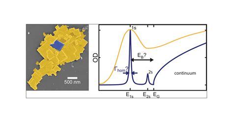 Dephasing and Quantum Beating of Excitons in …