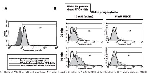 Depletion of cellular cholesterol enhances macrophage MAPK