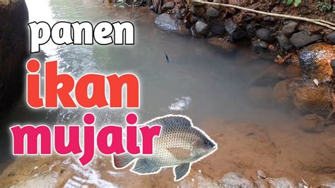 Deposit 20k bonus 20k to kecil. Mancing dapat ikan mujair.