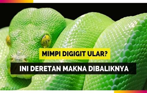 Deposit dana ke akun slot. Mimpi anak digigit ular.