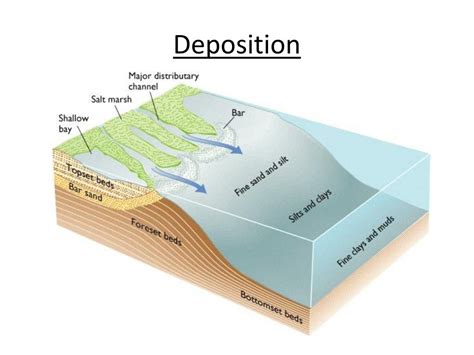 Deposition of limestone. Things To Know About Deposition of limestone. 