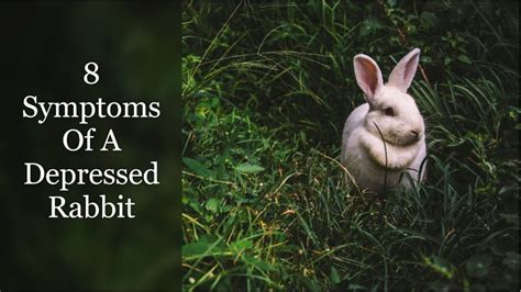 Depressedbunny1 Onlyfans Leak (SEX) 🔥 171 Photos