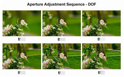 Depth of Field Flashcards Quizlet