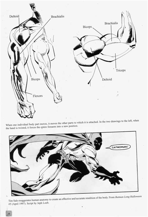 Der dc comics guide zum zeichnen von comics klaus janson. - York 10 seer hdb installation manual.