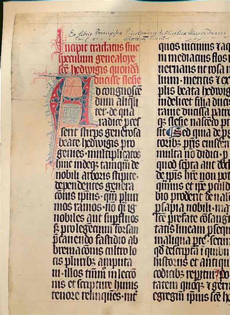 Der hedwigs  codex von 1353. - Hydraulique des canaux découverts en régime permanent..
