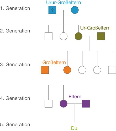 Der stammbaum-leitfaden für dna-tests und genetische genealogie. - Der stammbaum-leitfaden für dna-tests und genetische genealogie.