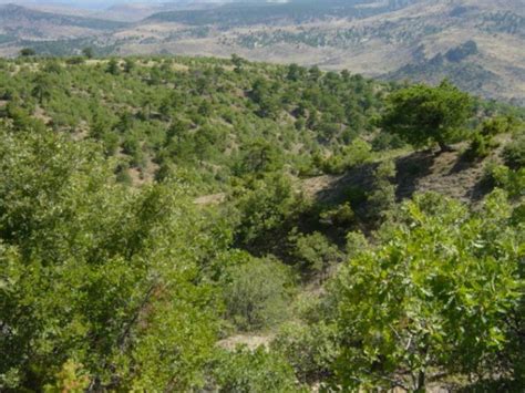 Derbenttekke Halı ve Koltuk Yıkama