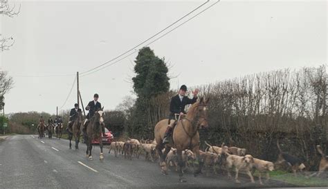 Derbyshire Against the Cull Facebook