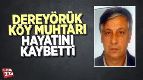 Dereyoruk Halı ve Koltuk Yıkama