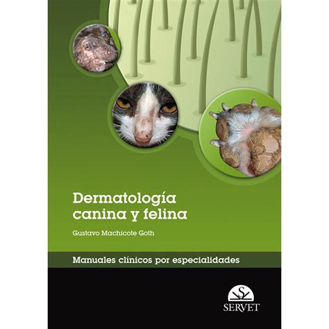Dermatologia canina y felina manuales clinicos por especialidades. - Chronistenberichte aus 100 jahren saarbrücker musikgeschichte.