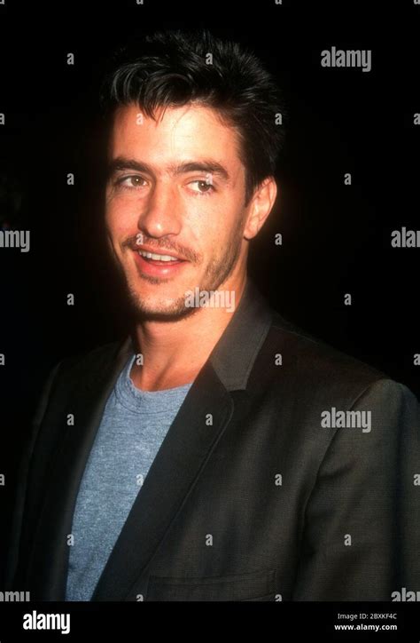 Dermot mulroney young