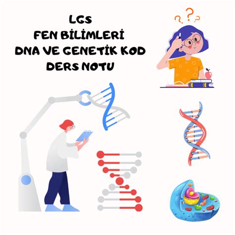 Ders 13: Haftasonu Destek - DNA ve Genetik Kod - Biyoteknoloji - Genetik Mühendisliği.