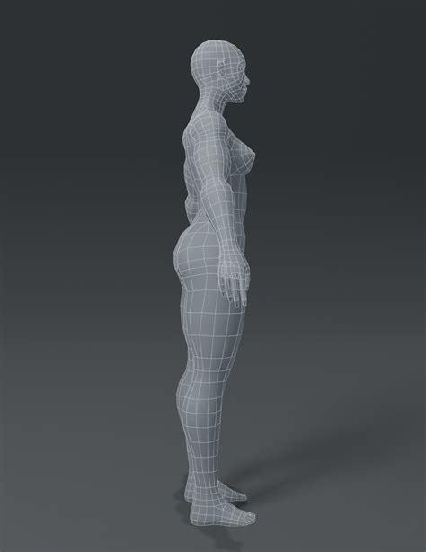 Des Modèles de Corps 3D TurboSquid