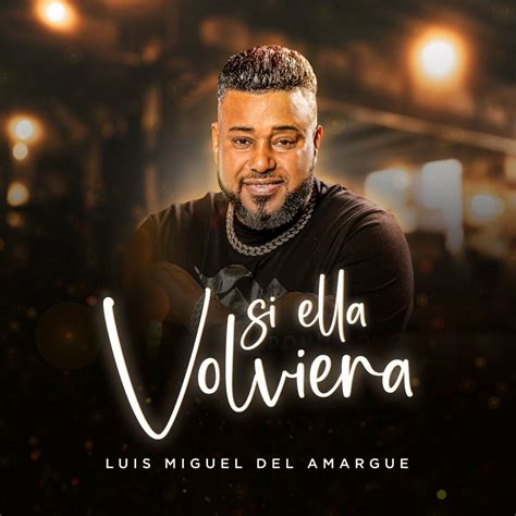 Descargar MP3 luis miguel del amargue si ella volviera 2024