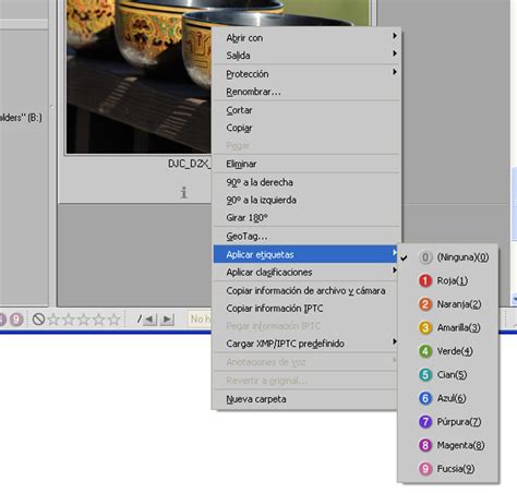 Descargar programa nikon. .
