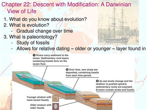 Descent With Modification A Darwinian View Of Life Answers